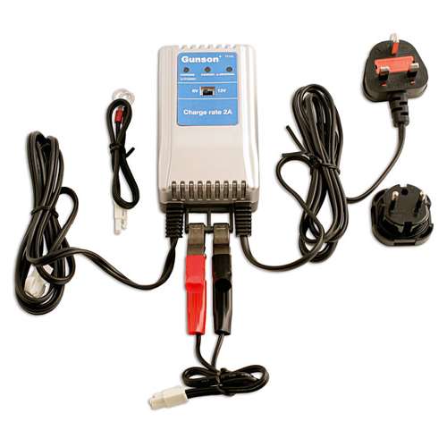 Gunson Maintenance Battery Charger