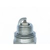 Champion Spark Plug RCJ6Y (CCH852)